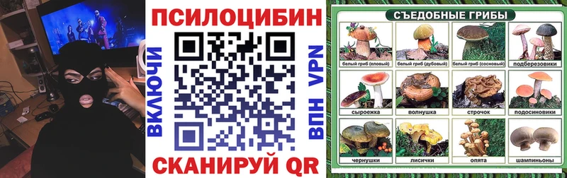 Галлюциногенные грибы Magic Shrooms как найти Валуйки