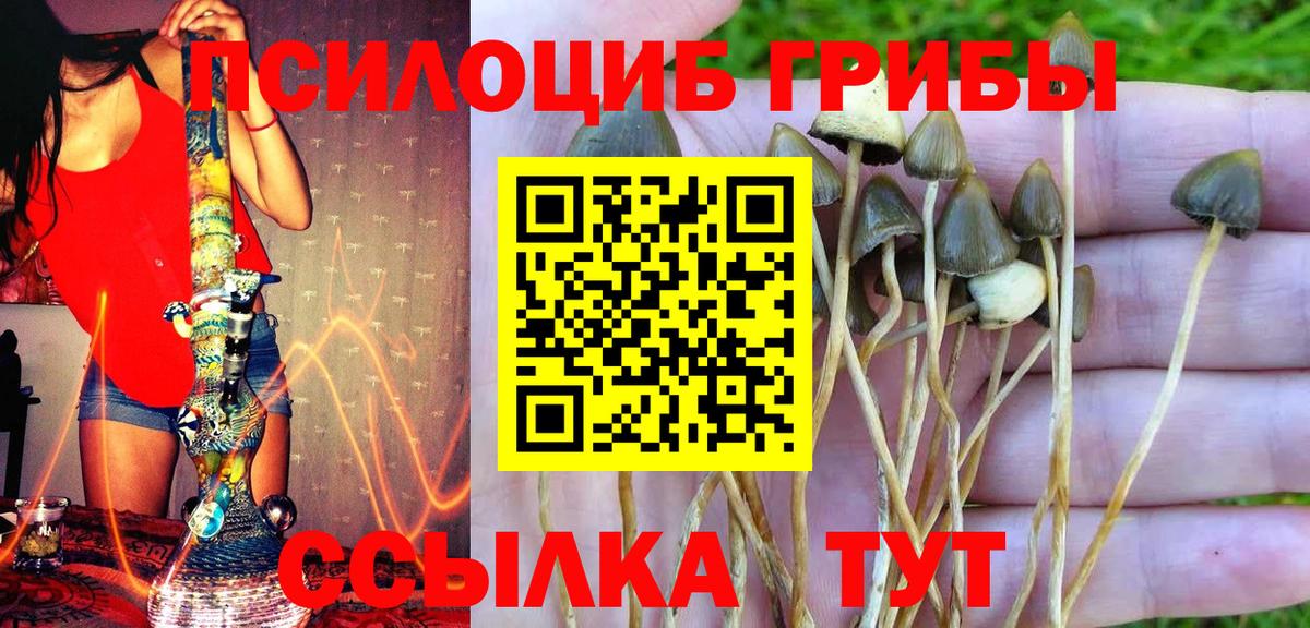 Псилоцибиновые грибы MAGIC MUSHROOMS Валуйки