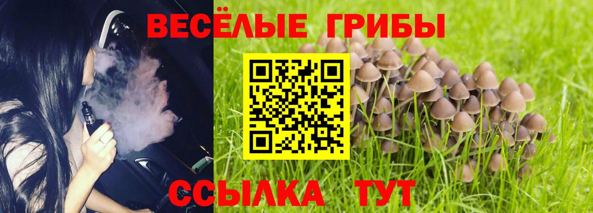 Галлюциногенные грибы GOLDEN TEACHER  Вход с VPN  Валуйки  Галлюциногенные грибы GOLDEN TEACHER 