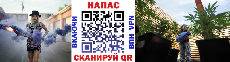 Конопля конопля Валуйки